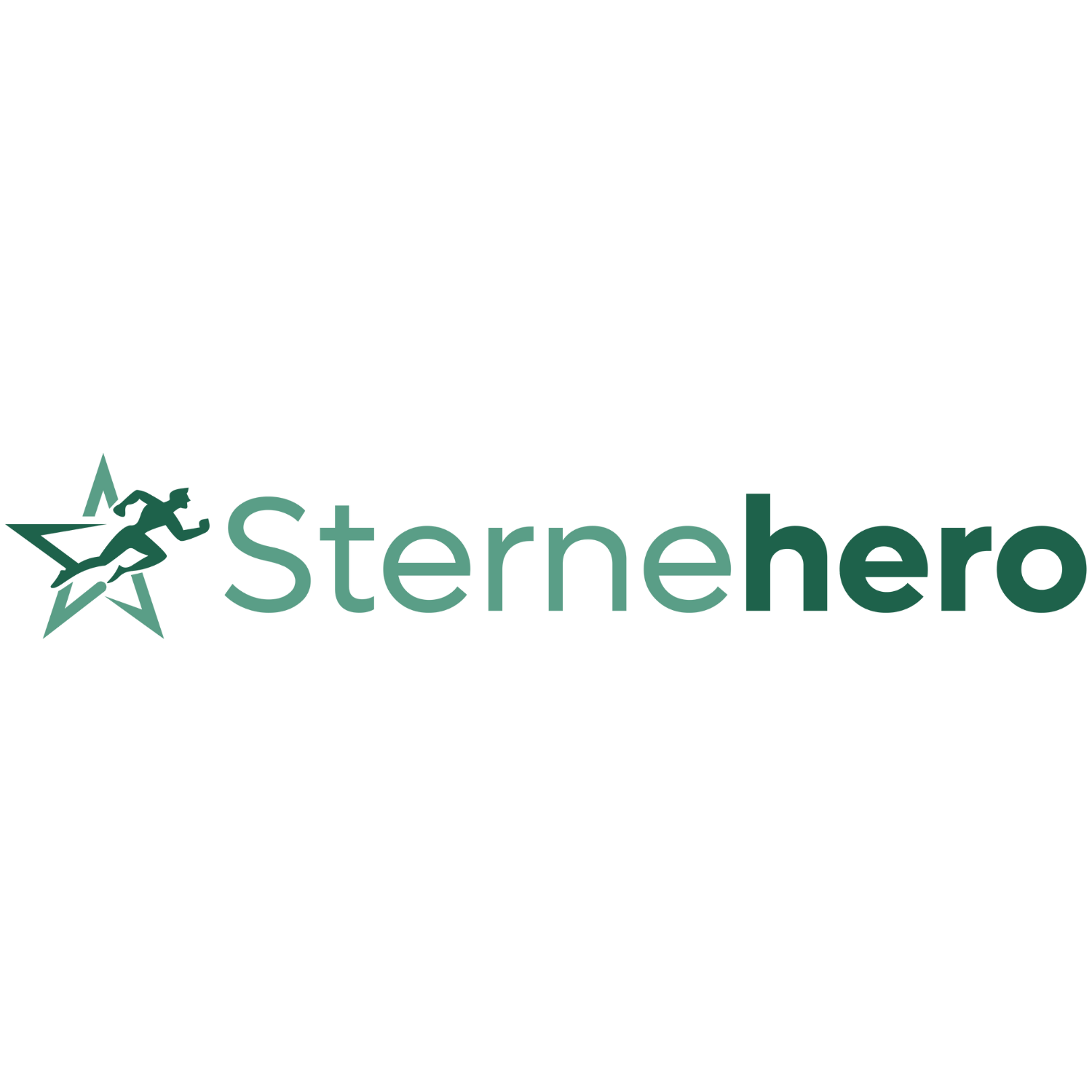 Sterne Hero Logo